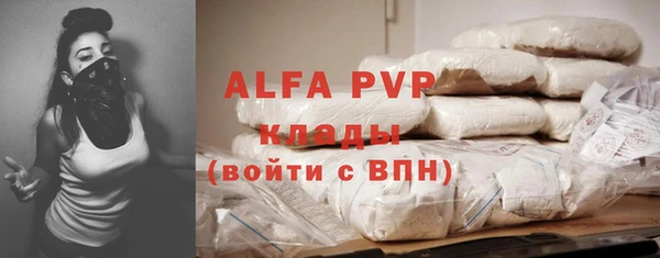 гашик Покачи