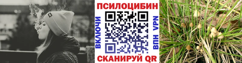 Галлюциногенные грибы мухоморы Купить где Пошехонье